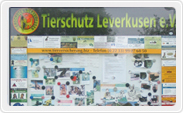 Infokasten