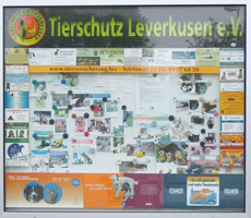 infokasten