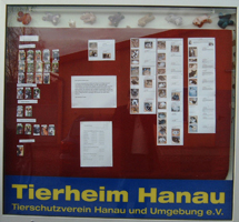 infokasten