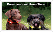 Kalender